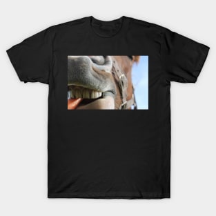 Dianas Smile T-Shirt